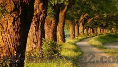 足球比分买哪个-足球比分竞猜陷阱大揭秘，理性投资才是王道，远离非法博彩深渊